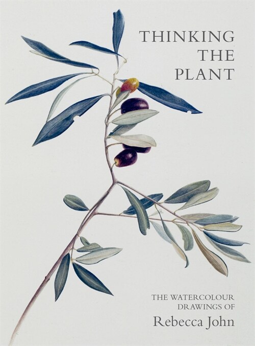 Thinking the Plant : The Watercolour Drawings of Rebecca John (Paperback)