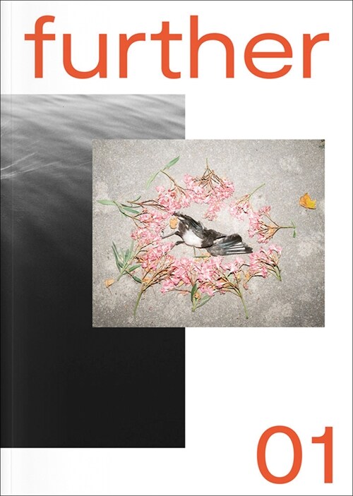 Further 01: Fotobus Society (Paperback)