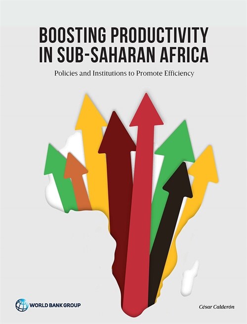 Boosting Productivity in Sub-Saharan Africa: Policies and Institutions to Promote Efficiency (Paperback)