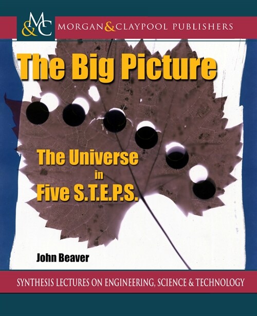 The Big Picture: The Universe in Five S.T.E.P.S. (Hardcover)