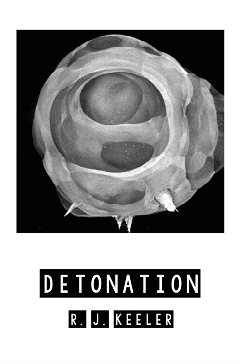 Detonation (Paperback)