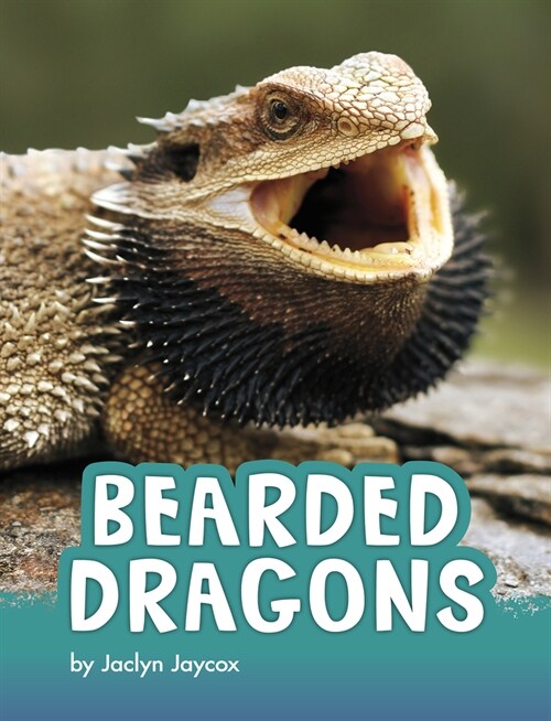 Bearded Dragons (Hardcover)