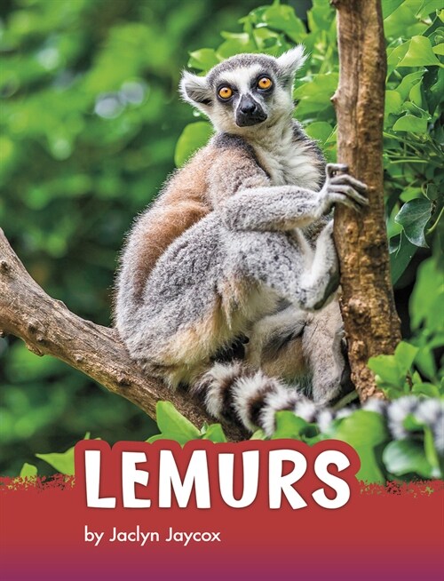 Lemurs (Hardcover)