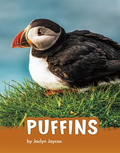 Puffins (Hardcover)