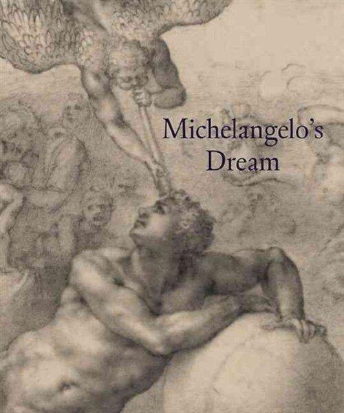 MichelangeloS Dream (Paperback)