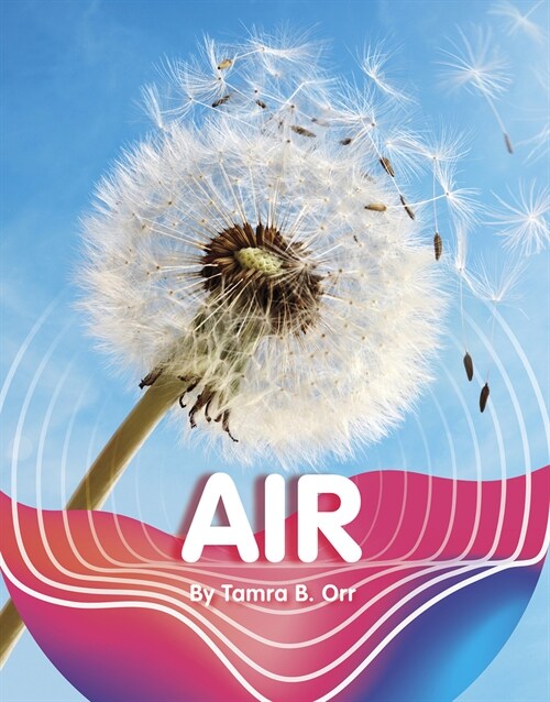 Air (Hardcover)