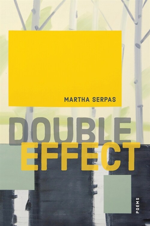 Double Effect: Poems (Paperback)