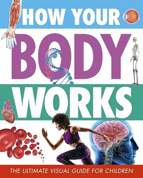 How Your Body Works: The Ultimate Visual Guide for Children (Paperback)