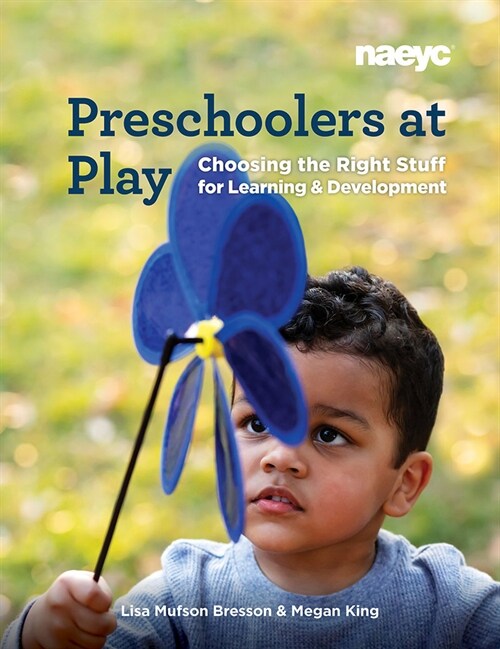 Preschoolers at Play: Choosing the Right Stuff for Learning and Development (Paperback)