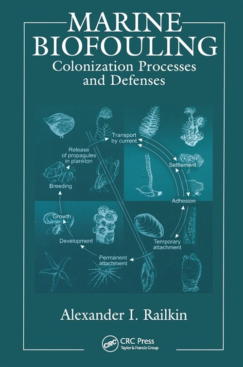 Marine Biofouling : Colonization Processes and Defenses (Paperback)