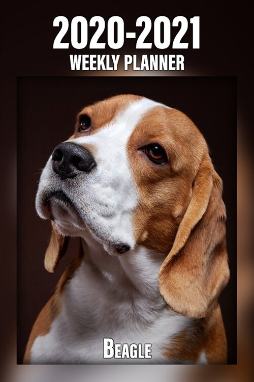 2020-2021 Weekly Planner Beagle: 2-Year Pocket Calendar - 24 Months - 221 pages 6x9 in. - Diary - Organizer - Agenda - Appointment - Half Spread Wide (Paperback)