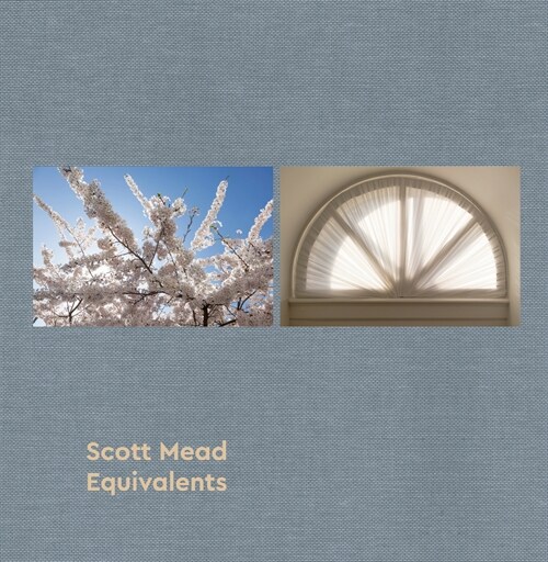 Equivalents: Scott Mead (Hardcover)