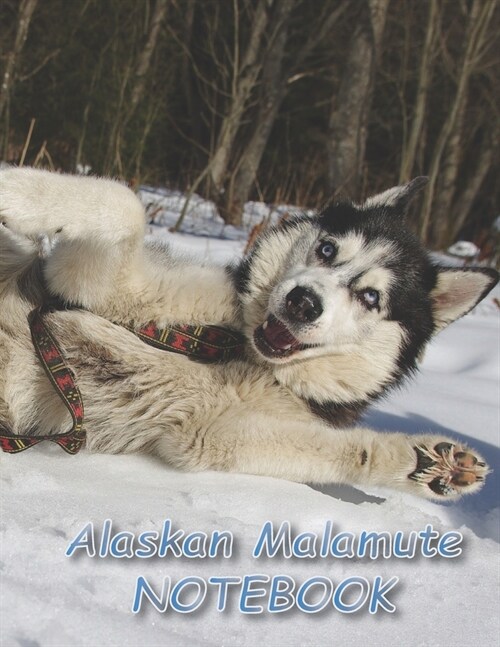 Alaskan Malamute NOTEBOOK: Dog Notebooks and Journals 110 pages (8.5x11) (Paperback)