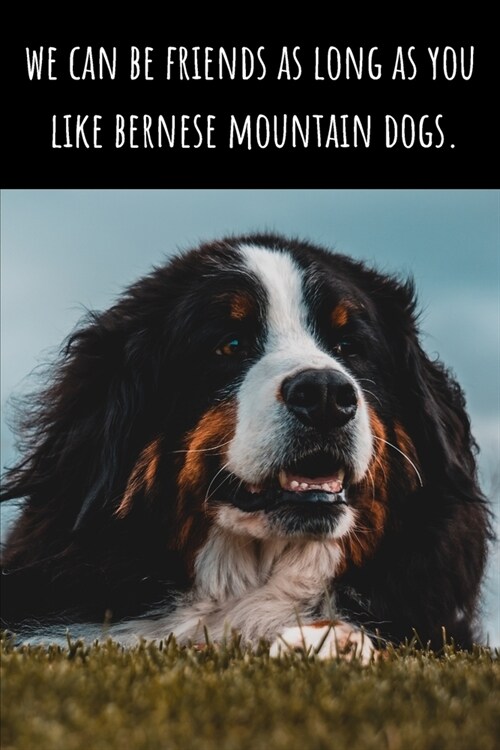 We Can Be Friends As Long As You Like Berners - Lined Journal and Notebook: Funny Bernese Mountain Dog Notebook for Students, Writer and Notetakers (Paperback)