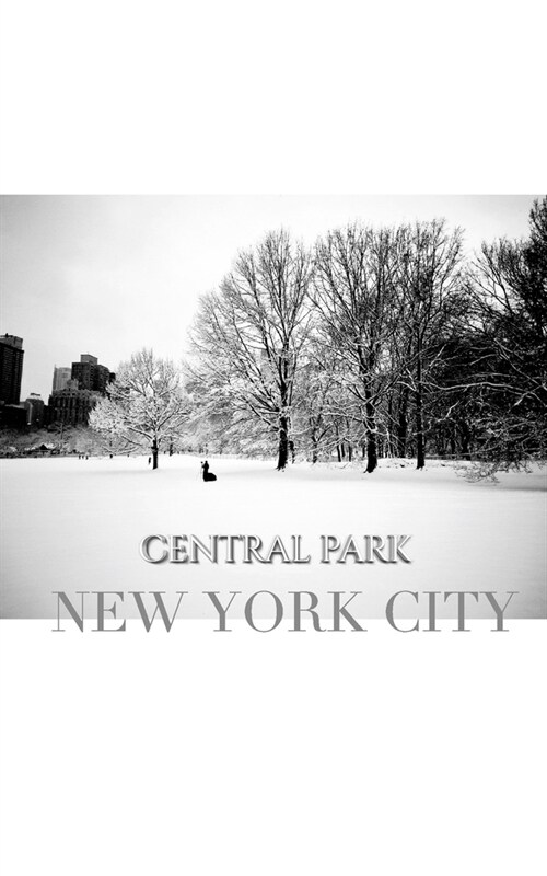 central park New York City Winter wonderland blank journal: central park New York City Winter wounderland blank journal (Paperback)