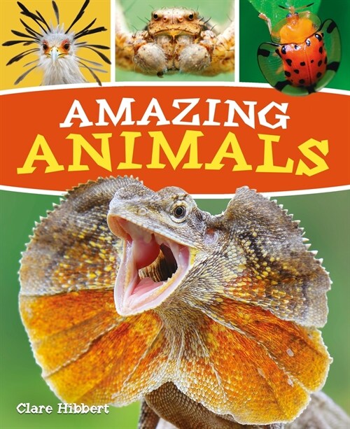 Amazing Animals: More Than 100 of the Worlds Most Remarkable Creatures (Paperback)