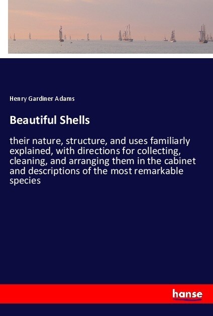 Beautiful Shells (Paperback)