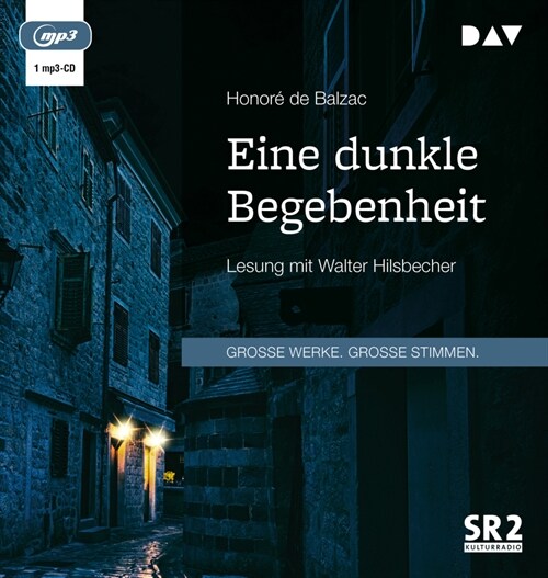 Eine dunkle Begebenheit, 1 Audio-CD, MP3 (CD-Audio)