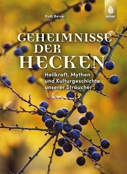 Geheimnisse der Hecken (Hardcover)