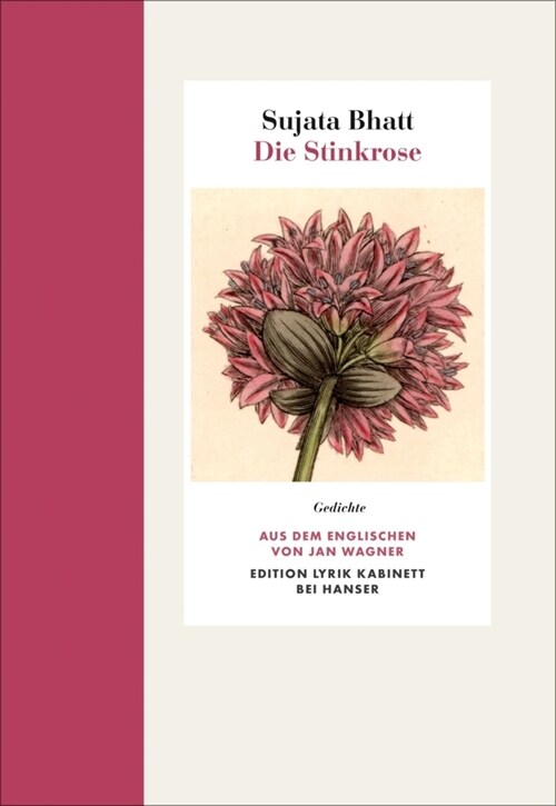 Die Stinkrose (Hardcover)