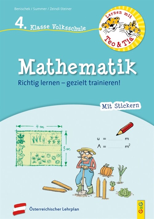 Lernen mit Teo und Tia Mathematik - 4. Klasse Volksschule (Paperback)