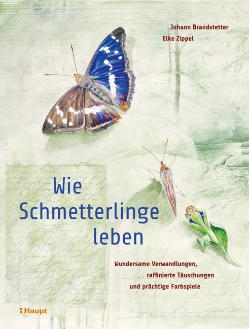 Wie Schmetterlinge leben (Hardcover)