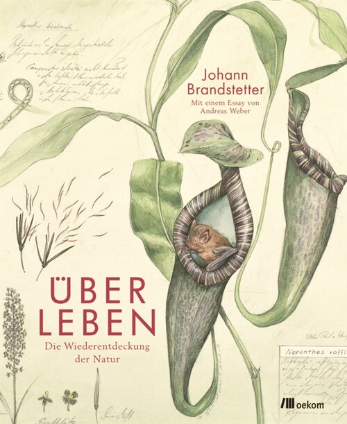 Uber Leben (Hardcover)
