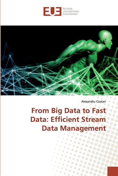 From Big Data to Fast Data: Efficient Stream Data Management (Paperback)