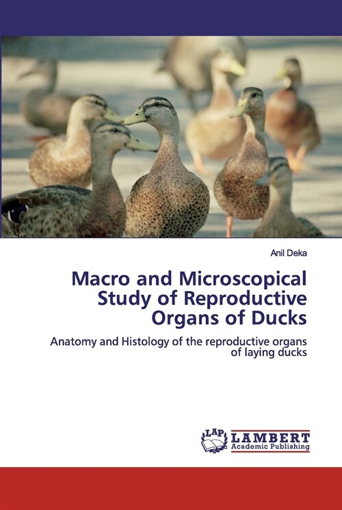 Macro and Microscopical Study of Reproductive Organs of Ducks (Paperback)