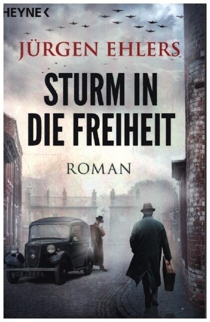 Sturm in die Freiheit (Paperback)