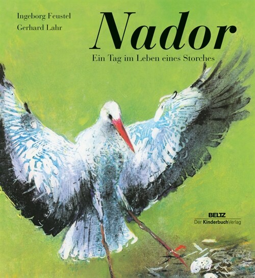 Nador (Hardcover)