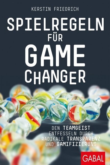 Spielregeln fur Game Changer (Hardcover)