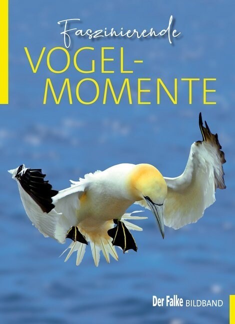 Faszinierende Vogelmomente (Hardcover)