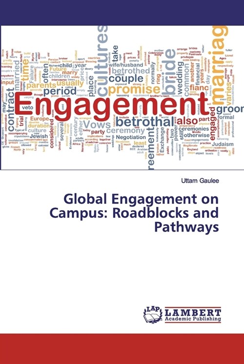 Global Engagement on Campus: Roadblocks and Pathways (Paperback)