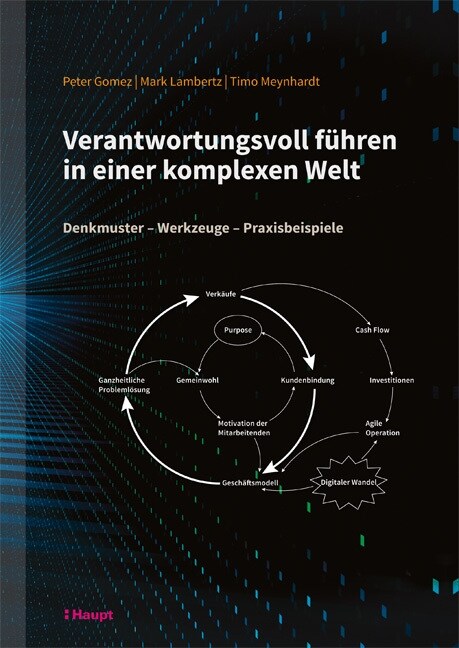 Verantwortungsvoll fuhren in einer komplexen Welt (Hardcover)