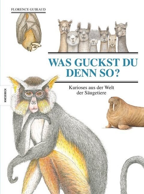 Was guckst du denn so (Hardcover)