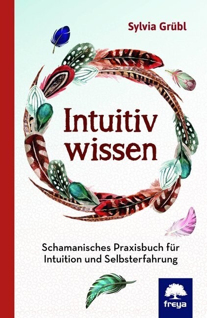 Intuitiv Wissen (Hardcover)