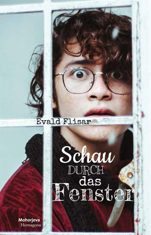 Schau durch das Fenster (Book)