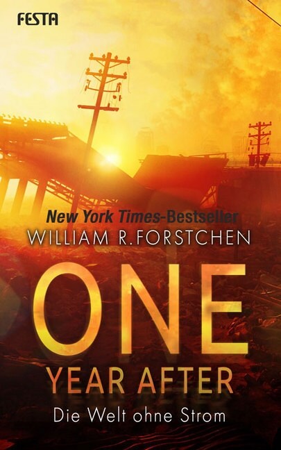 One Year After - Die Welt ohne Strom (Paperback)