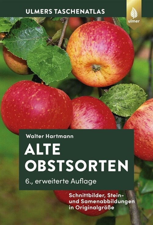 Alte Obstsorten (Hardcover)