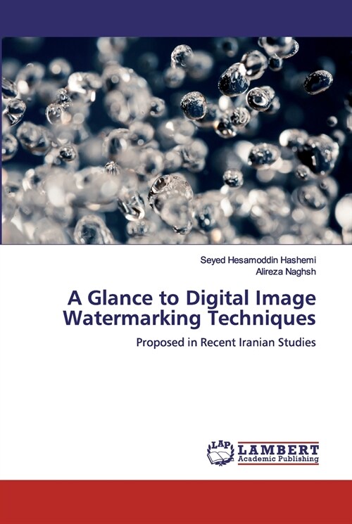 A Glance to Digital Image Watermarking Techniques (Paperback)