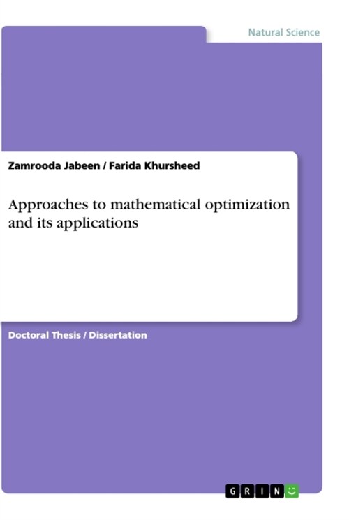 Approaches to mathematical optimization and its applications (Paperback)