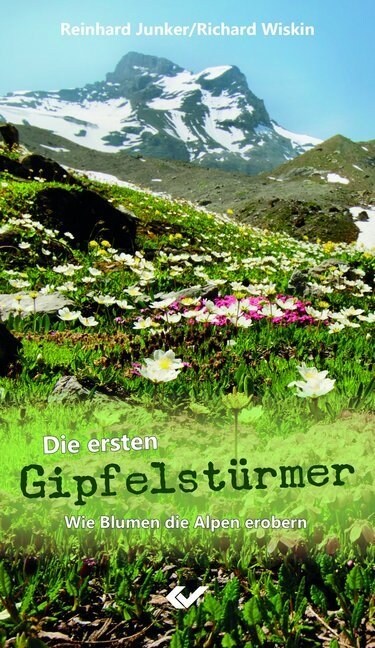 Die ersten Gipfelsturmer (Paperback)