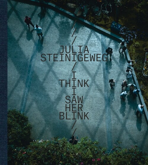 Julia Steinigeweg: I Think I Saw Her Blink (Hardcover)