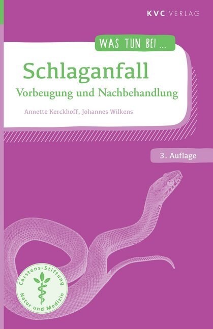 Schlaganfall (Paperback)