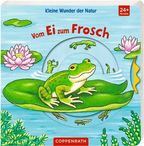 Kleine Wunder der Natur: Vom Ei zum Frosch (Board Book)