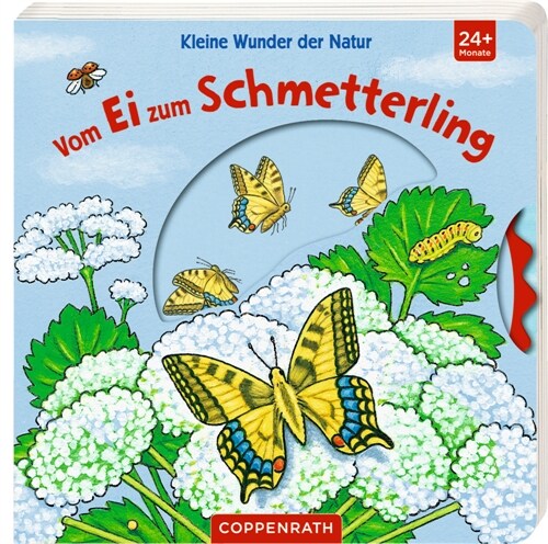 Kleine Wunder der Natur: Vom Ei zum Schmetterling (Board Book)