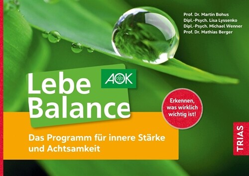 Lebe Balance (Paperback)