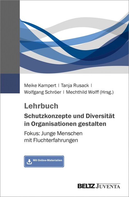 Lehrbuch Schutzkonzepte und Diversitat in Organisationen gestalten (Paperback)