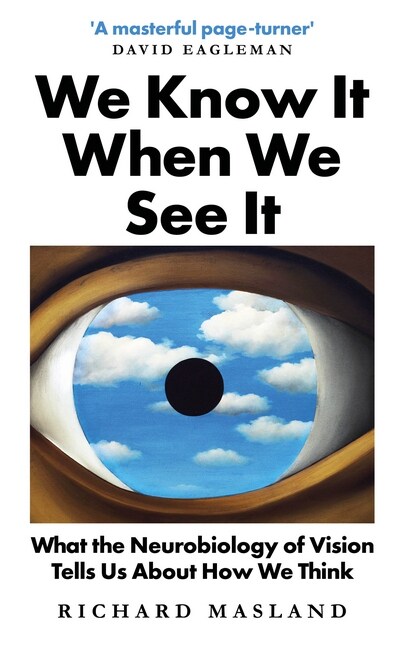 We Know It When We See It : What the Neurobiology of Vision Tells Us About How We Think (Hardcover)